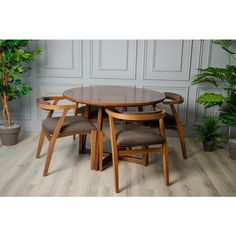 a wooden table with four chairs and a potted plant in the corner next to it