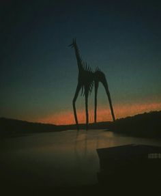 a giraffe standing in the middle of a lake at night with its long neck extended