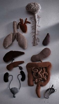 an assortment of different types of human body parts