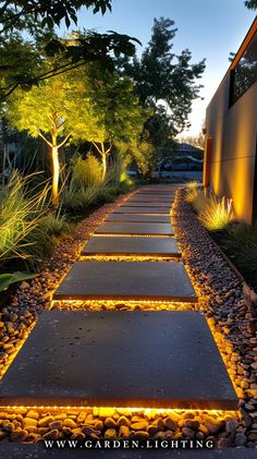 a walkway lit up with leds in the middle of some rocks and plants at night