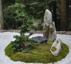 a rock and tree stand in the middle of a gravel area with moss growing on it