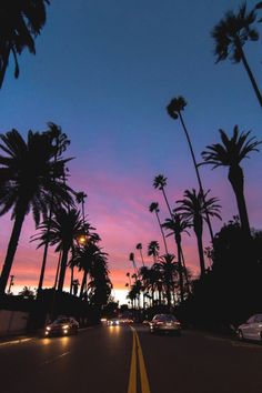 palm trees line the street as the sun sets