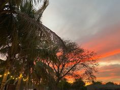 the sun is setting behind some palm trees and people are walking down the street in front of them