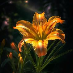 a yellow flower with green leaves in the background and sunlight shining on it's petals