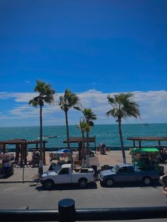 cars are parked on the side of the road by the ocean and palm trees in front of them