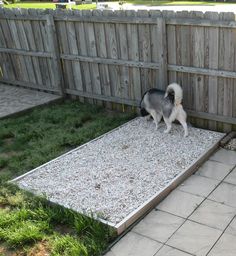 a small dog walking on top of a graveled area next to a wooden fence