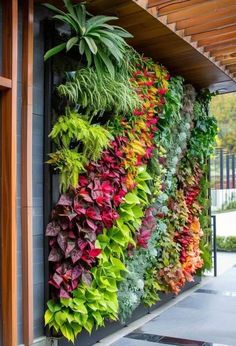 a vertical garden wall with various plants growing on it's sides and hanging from the ceiling