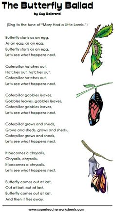 the butterfly ball poem is shown in this image