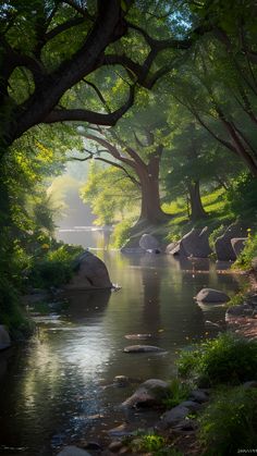 a river running through a lush green forest filled with rocks and trees in the sunlight