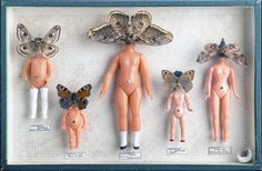 an assortment of dolls are displayed in a shadow box with butterflies and moths on them