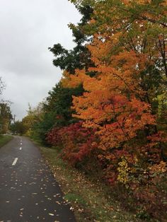 an empty road surrounded by trees with orange and yellow leaves