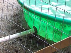 a green plastic pool in a fenced area