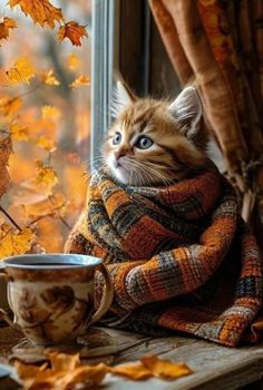 a cat sitting on a window sill next to a cup and saucer