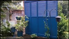 some plants are growing out of the corner of a blue fenced in garden area