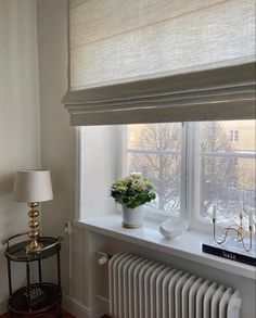 a white radiator sitting next to a window with a plant on top of it