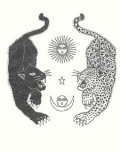 two cats are facing each other with sun and moon above them