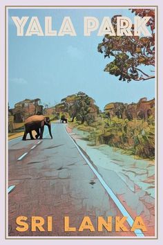 there is an elephant crossing the street in front of two elephants that are standing on the side of the road