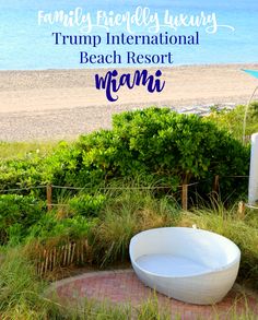 a large white bowl sitting on top of a lush green field next to the ocean