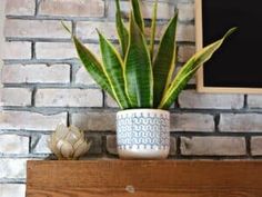 a potted plant sitting on top of a wooden shelf next to a brick wall