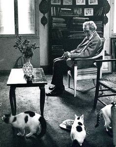 an old man sitting in a chair with cats around him and two other cats on the floor