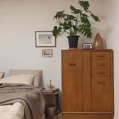 a bed room with a neatly made bed and a plant on top of the dresser