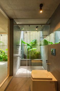 a bathroom with a toilet, shower and plants in the wall behind glass doors that lead to an outdoor bathtub