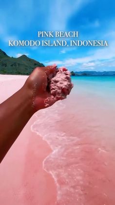 pink beach komodo island in indonesia with the caption pink beach komodo island, indonesia