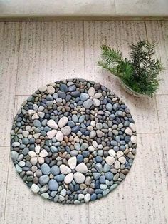 there is a small plant on the floor next to a round rock mat that has rocks in it