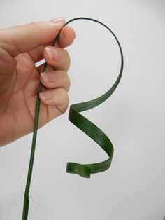 a person holding a green ribbon in their left hand and the end of it being held up