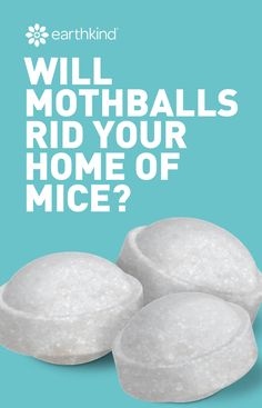 three marshmallows with the words will mottballs rid your home of mice?