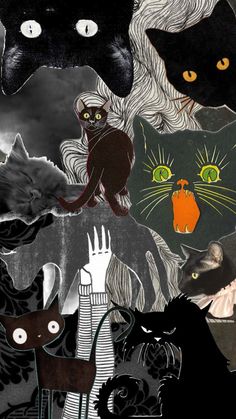 a collage of black cats and white cats with orange eyes, in the dark