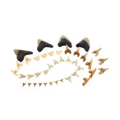 a group of different types of animal heads and spikes on a white background with clippings