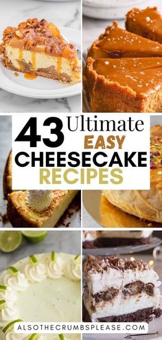 Explore 43 best cheesecake recipes that will elevate your dessert menu! From classic New York style to inventive flavors, find the perfect cake for any occasion. Best Flavored Cheesecake Recipe, Different Flavor Cheesecake, Flavored Cheesecake Recipes Easy, Different Kinds Of Cheesecake, Best Cheesecake Flavors, Easy Chocolate Cheesecake Recipes, No Bake Cheesecake Flavors, Cheese Cakes For Birthday, Best Easy Cheesecake Recipe