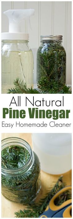 all natural pine vinegar is easy to make and uses only essential ingredients for homemade cleaner