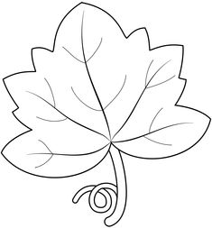 a leaf with the letter o on it is outlined in black and white, as well as