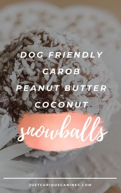 a white plate topped with chocolate covered coconuts and text that reads dog friendly carob peanut butter coconut snowballs