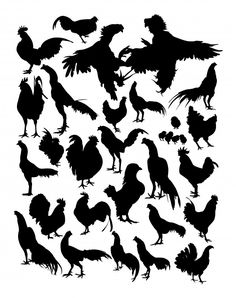 the silhouettes of chickens and roosters are shown in black on a white background