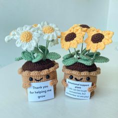 two crocheted potted plants with flowers in them, one has a thank you for helping me grow sign