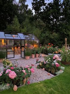 a garden filled with lots of different types of flowers