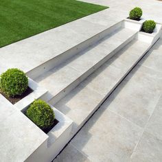 modern concrete steps with planters on each side