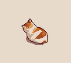 an orange and white cat sitting on top of a floor