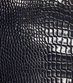 an alligator skin pattern is shown in black and silver colors, as well as the background