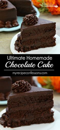 chocolate cake on a plate with the words ultimate homemade chocolate cake