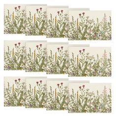 six greeting cards with wildflowers and grasses printed on them, all lined up in rows