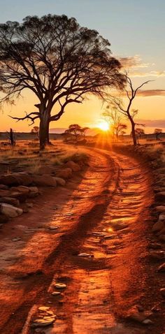 the sun is setting on a dirt road