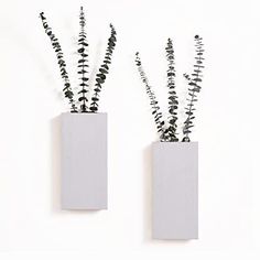 two white vases with plants in them against a white wall, one is empty