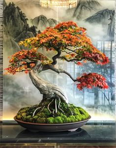 a bonsai tree with red leaves and green moss in front of a mountain backdrop