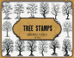 tree stamps for photoshopping