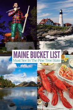 the maine bucket list must see in the pine tree state, including lobsters and seafood