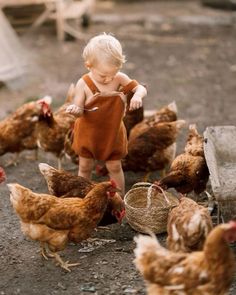 a small child standing in front of chickens